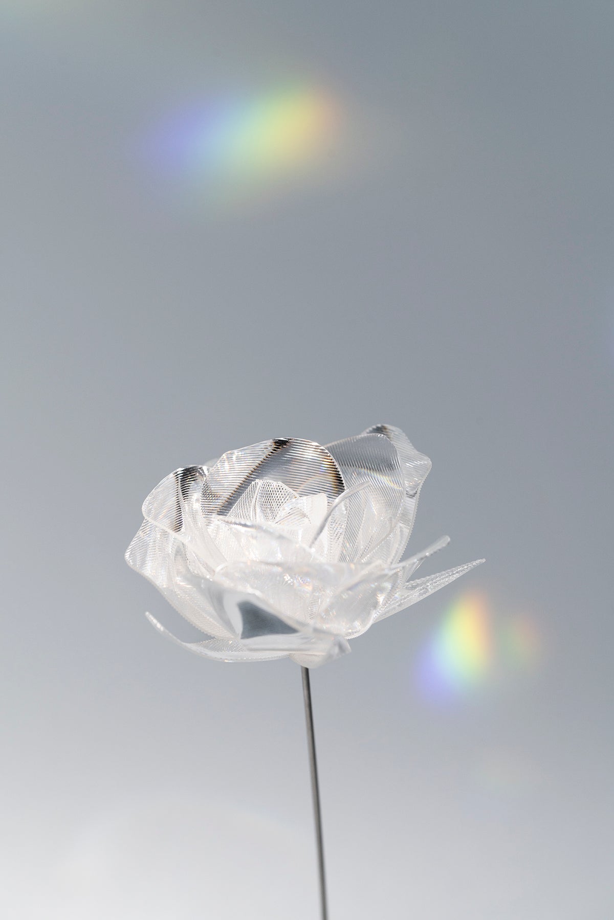 Prism Flower #1 / Rose (S)