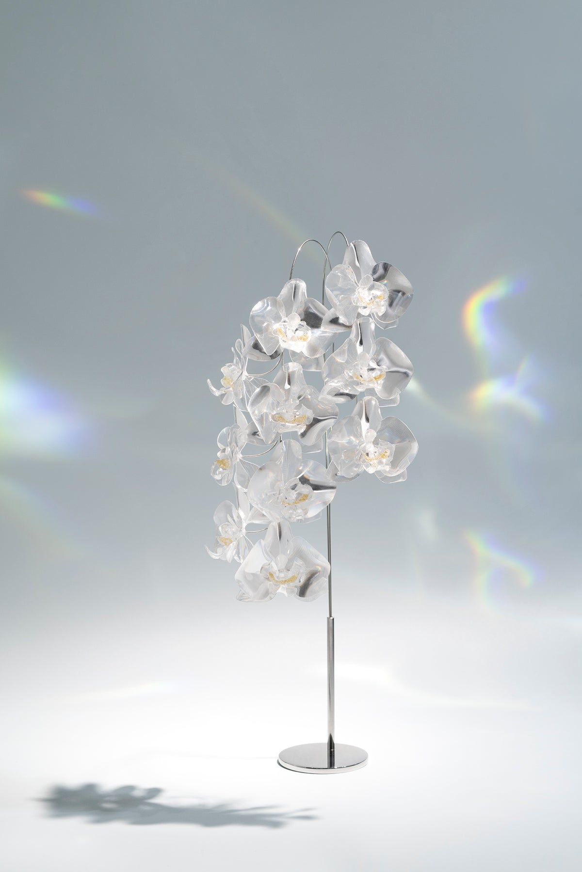 Prism Flower #3 / Set-No.02　Kocho-ran+Metal Vase L