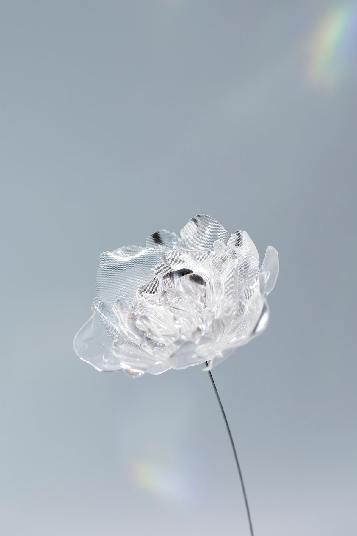 Prism Flower Collection – EMISSION