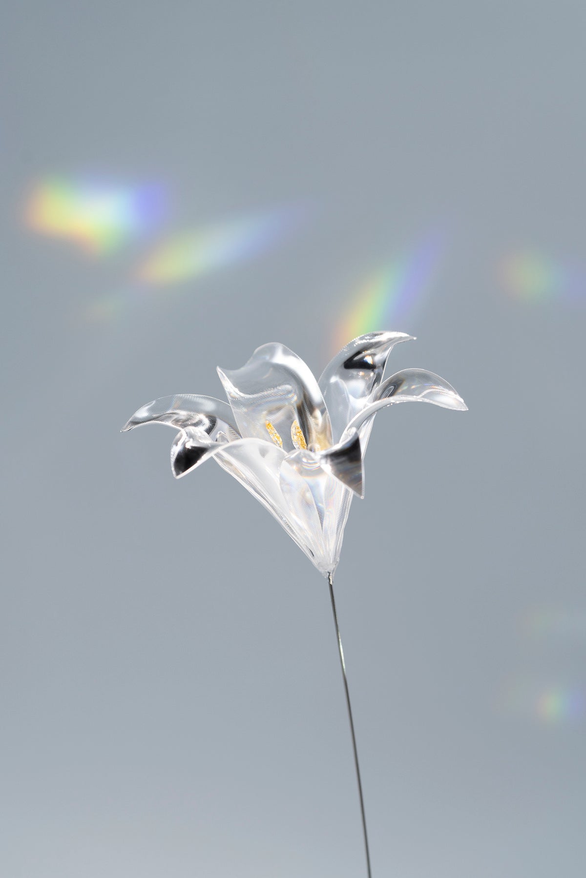 Prism Flower #1 / Lily