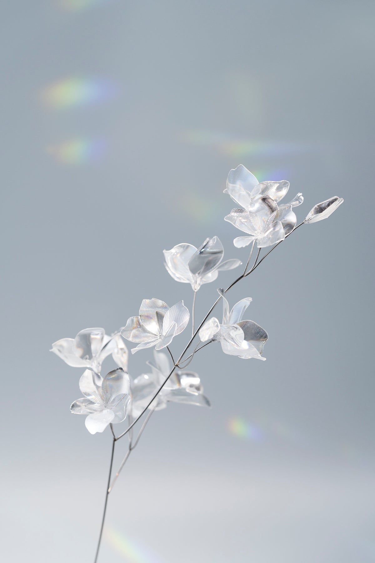 Prism Flower / Sakura-Ⅰ