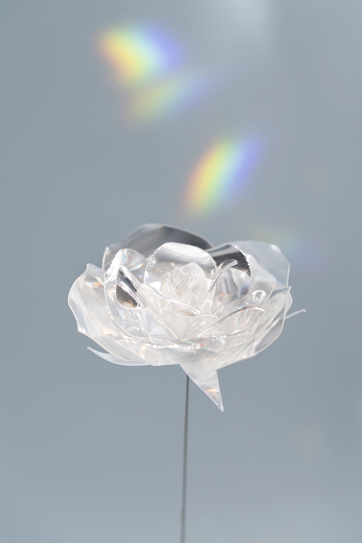 Prism Flower Collection – EMISSION