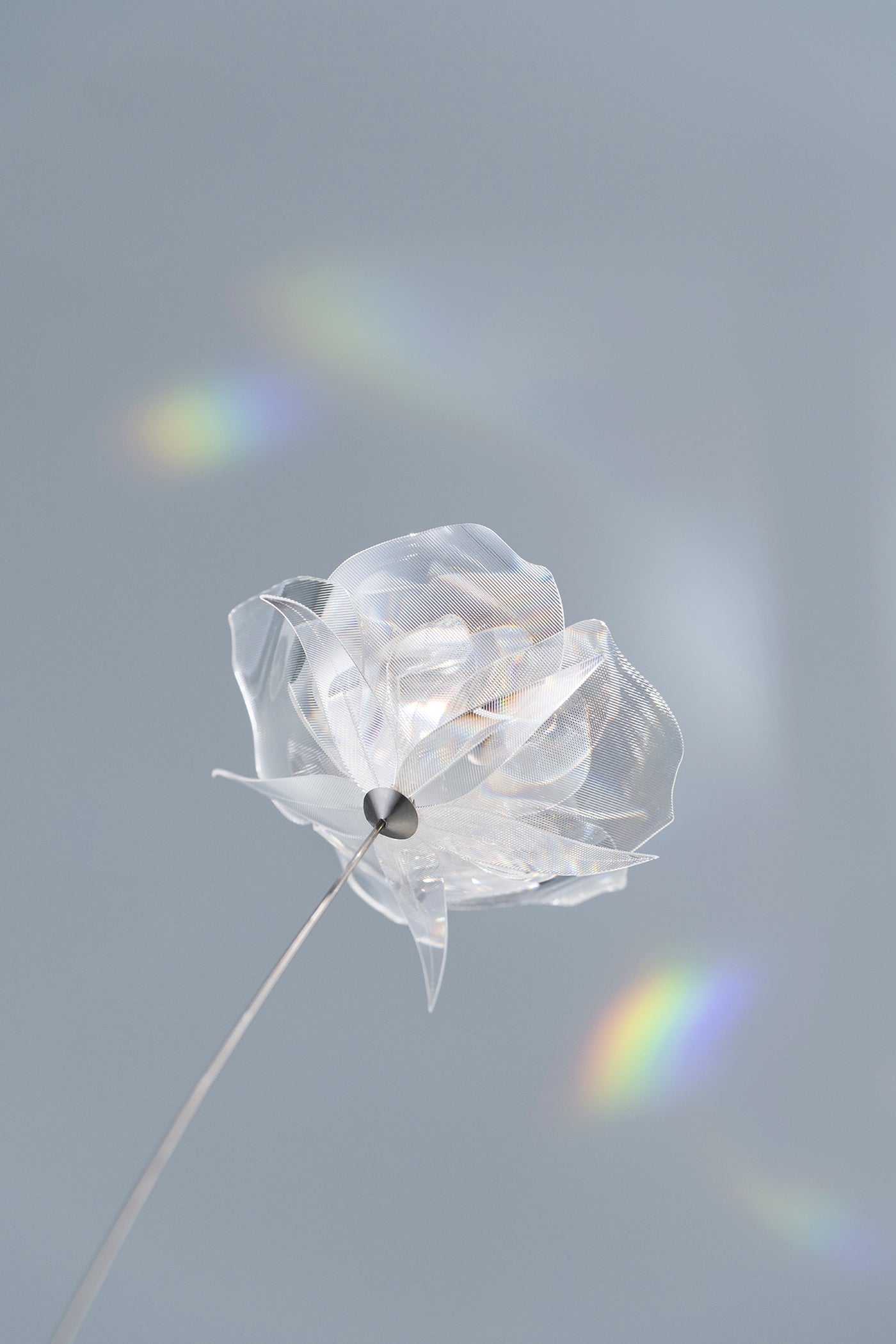 Prism Flower #1 / Rose – EMISSION
