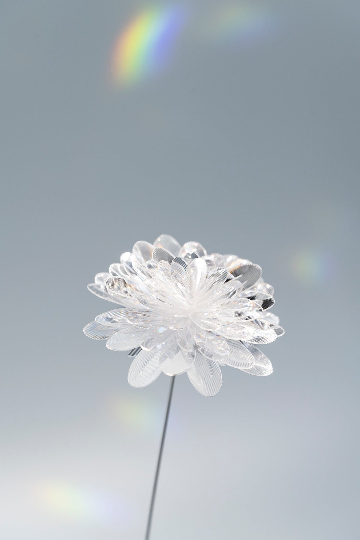 Prism Flower Collection – EMISSION