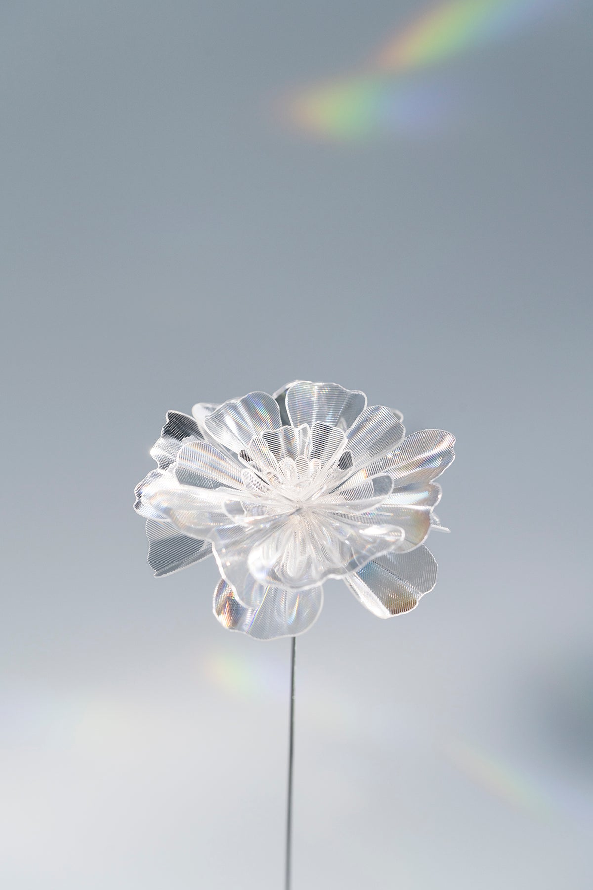 Prism Flower #1 / Marigold