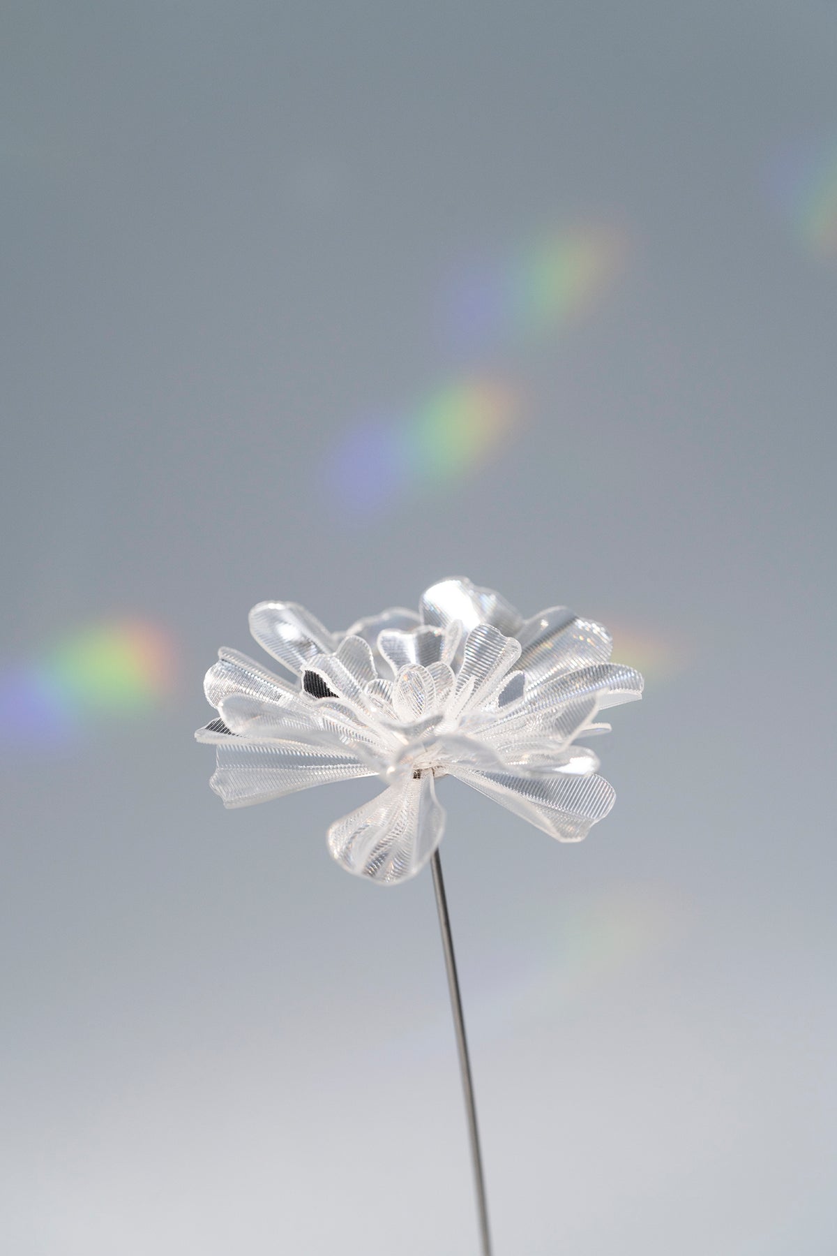 Prism Flower #1 / Marigold (S)