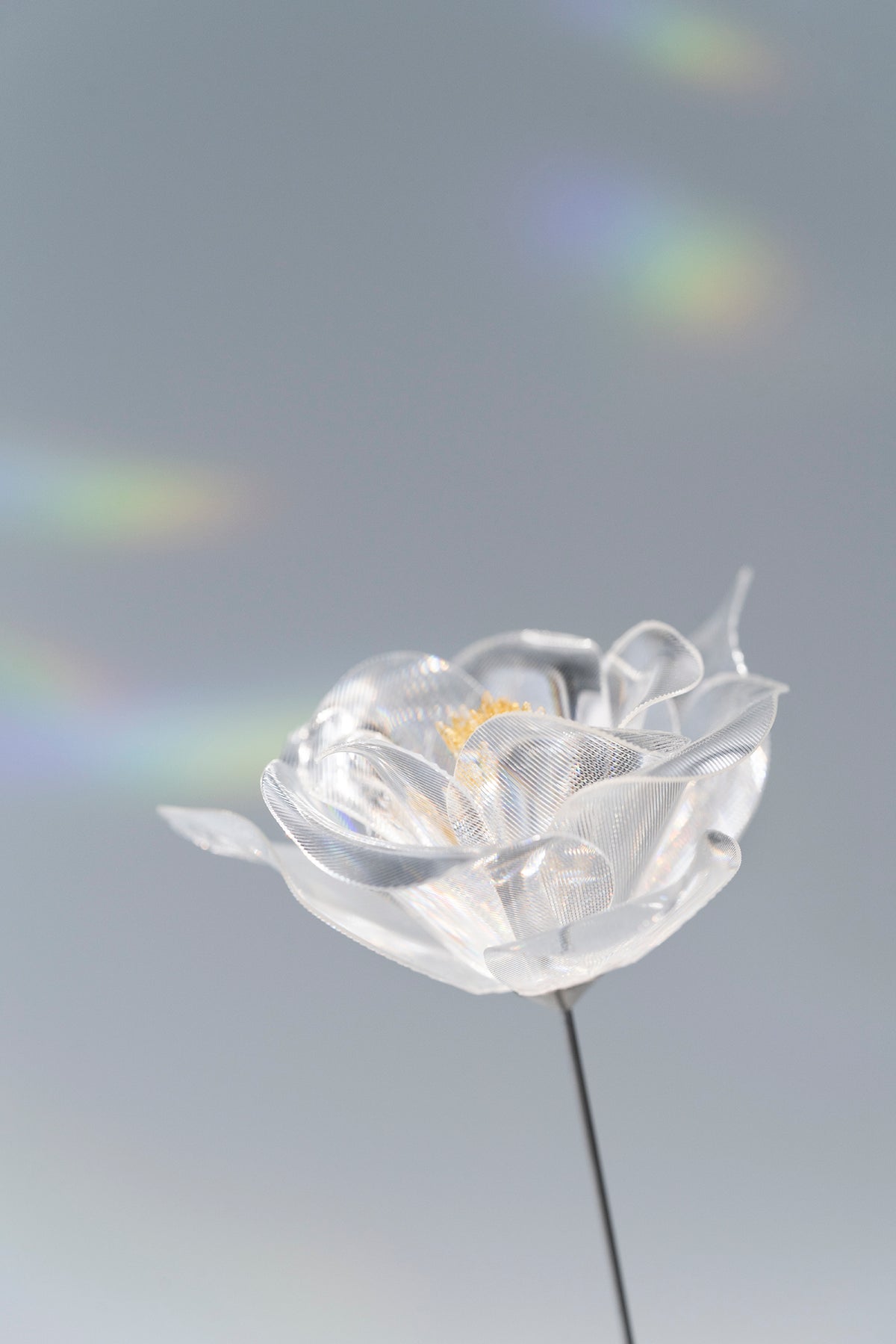 Prism Flower #1 / Camellia (S)