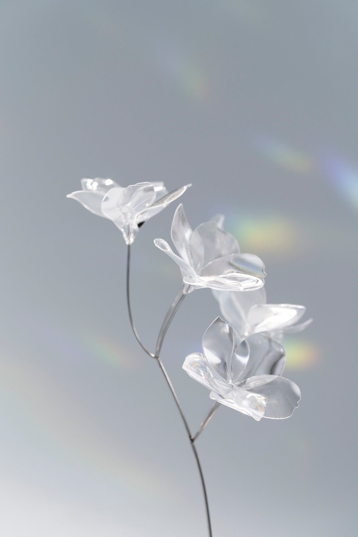 Prism Flower #1 / Sakura (S)