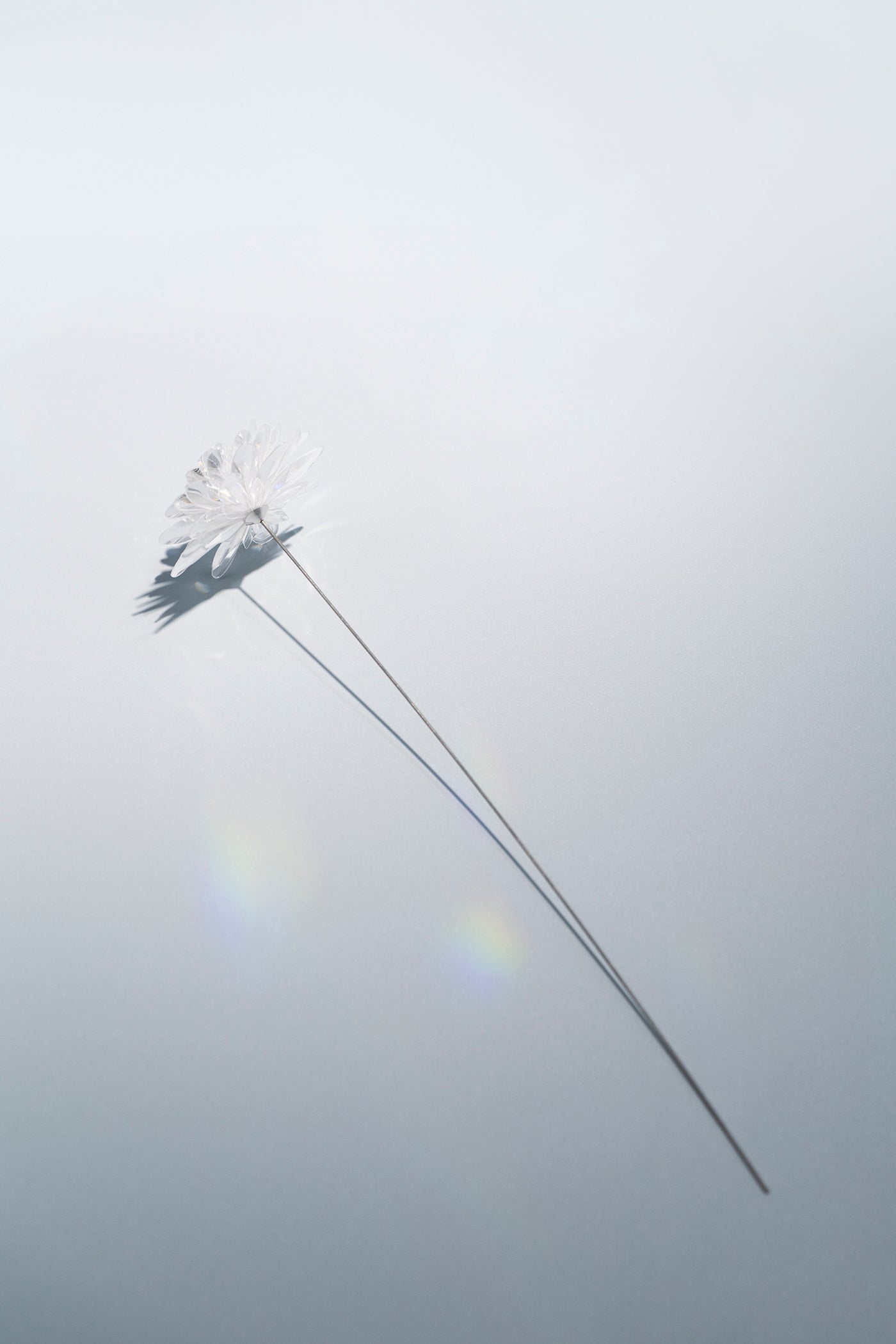 Prism Flower #1 / Kiku – EMISSION