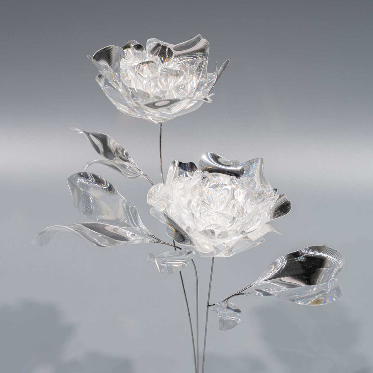 Prism Flower Collection – EMISSION
