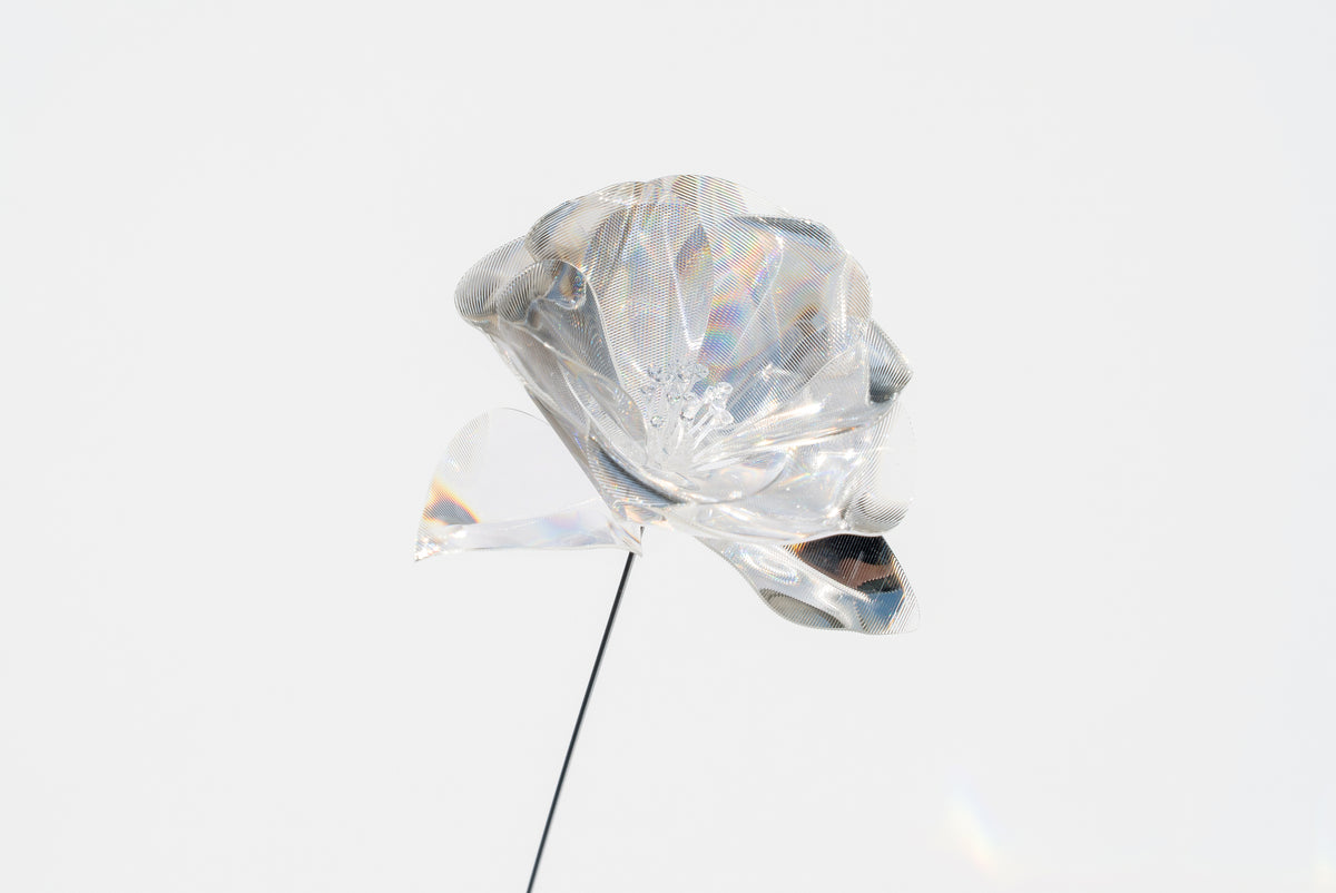 Prism Flower Collection – EMISSION