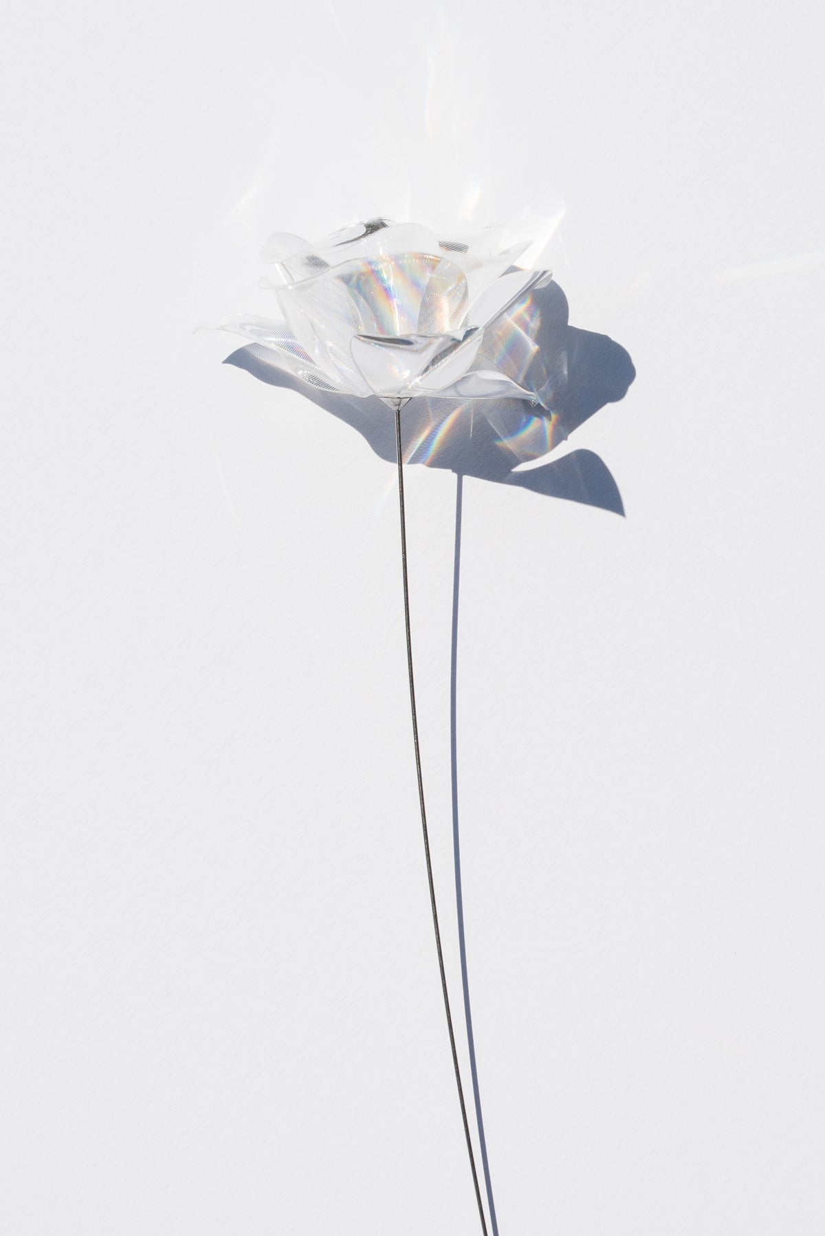 Prism Flower Collection – EMISSION