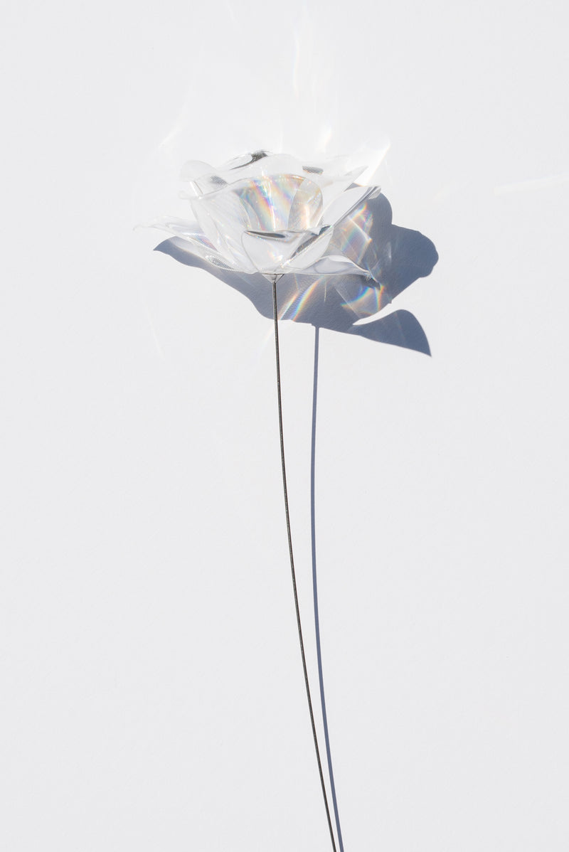 Prism Flower #1 / Camellia