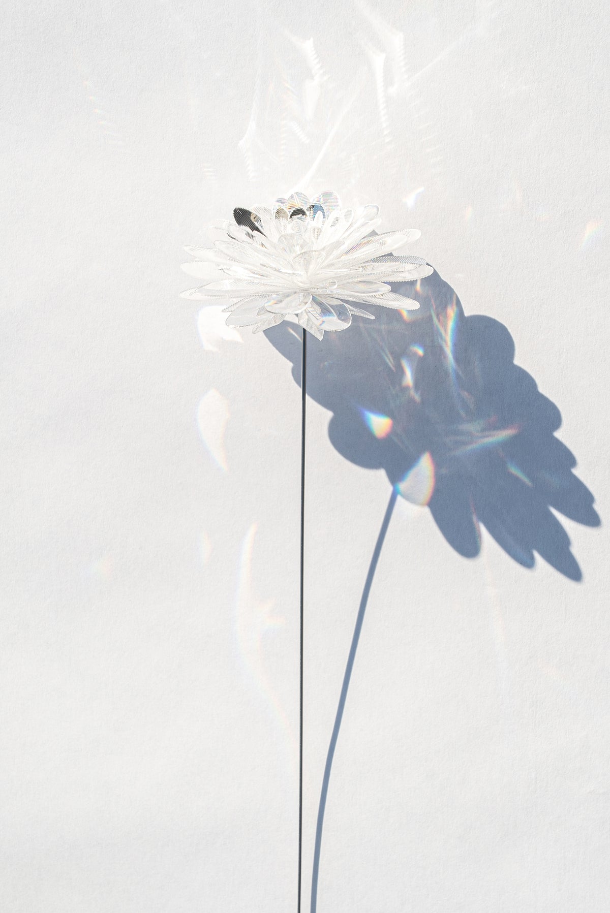 Prism_Flower__1_kiku_3_1200x.