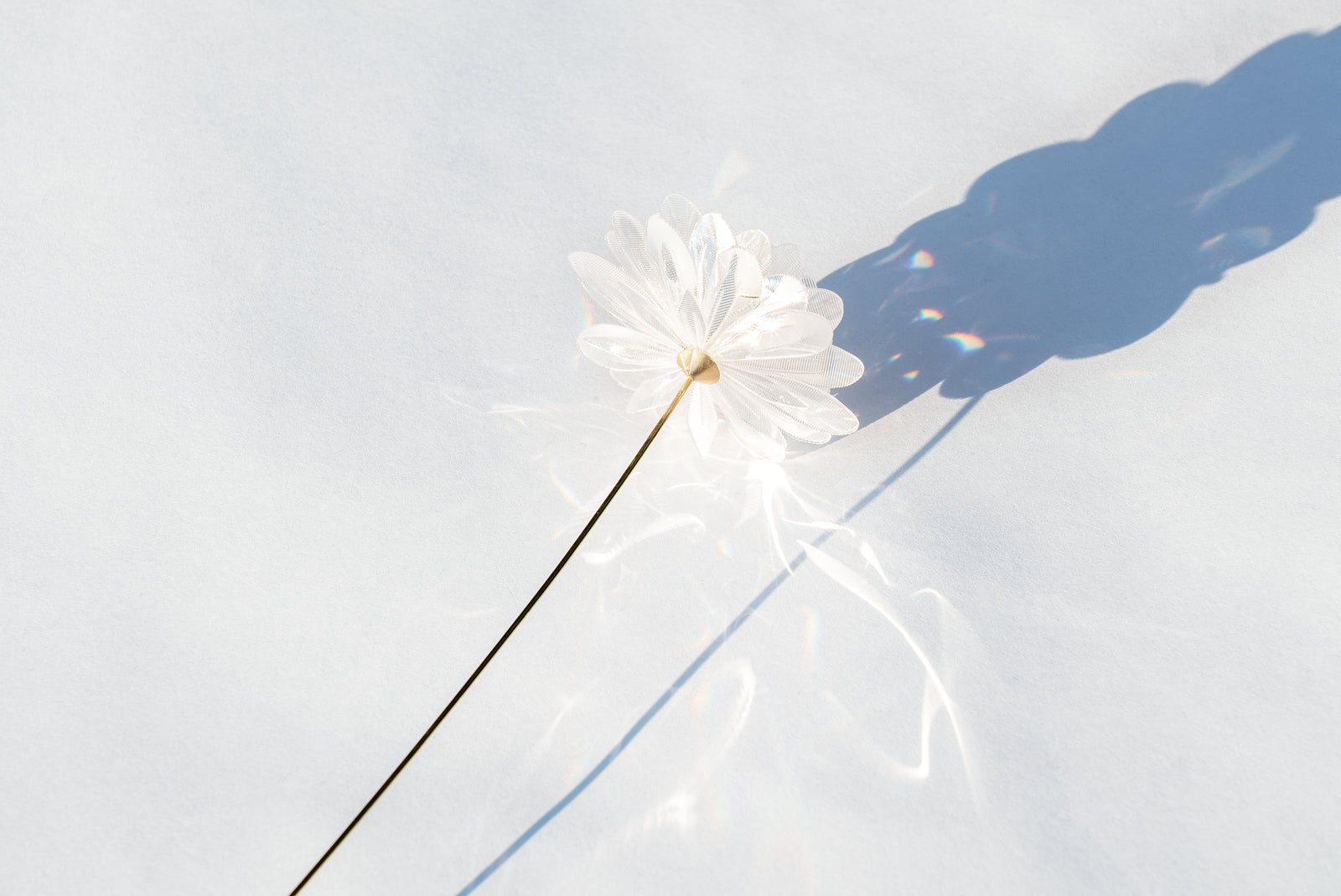 Prism Flower #1 / Kiku – EMISSION