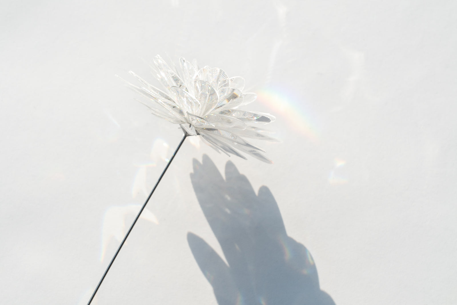 Prism Flower #1 / Kiku – EMISSION