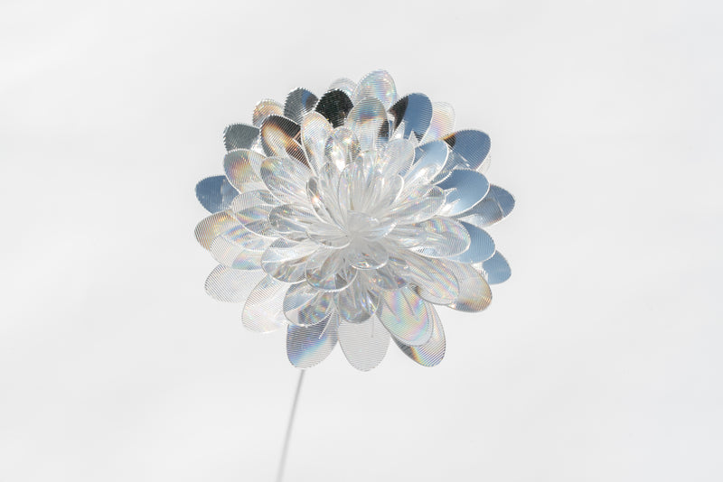Prism Flower #1 / Kiku