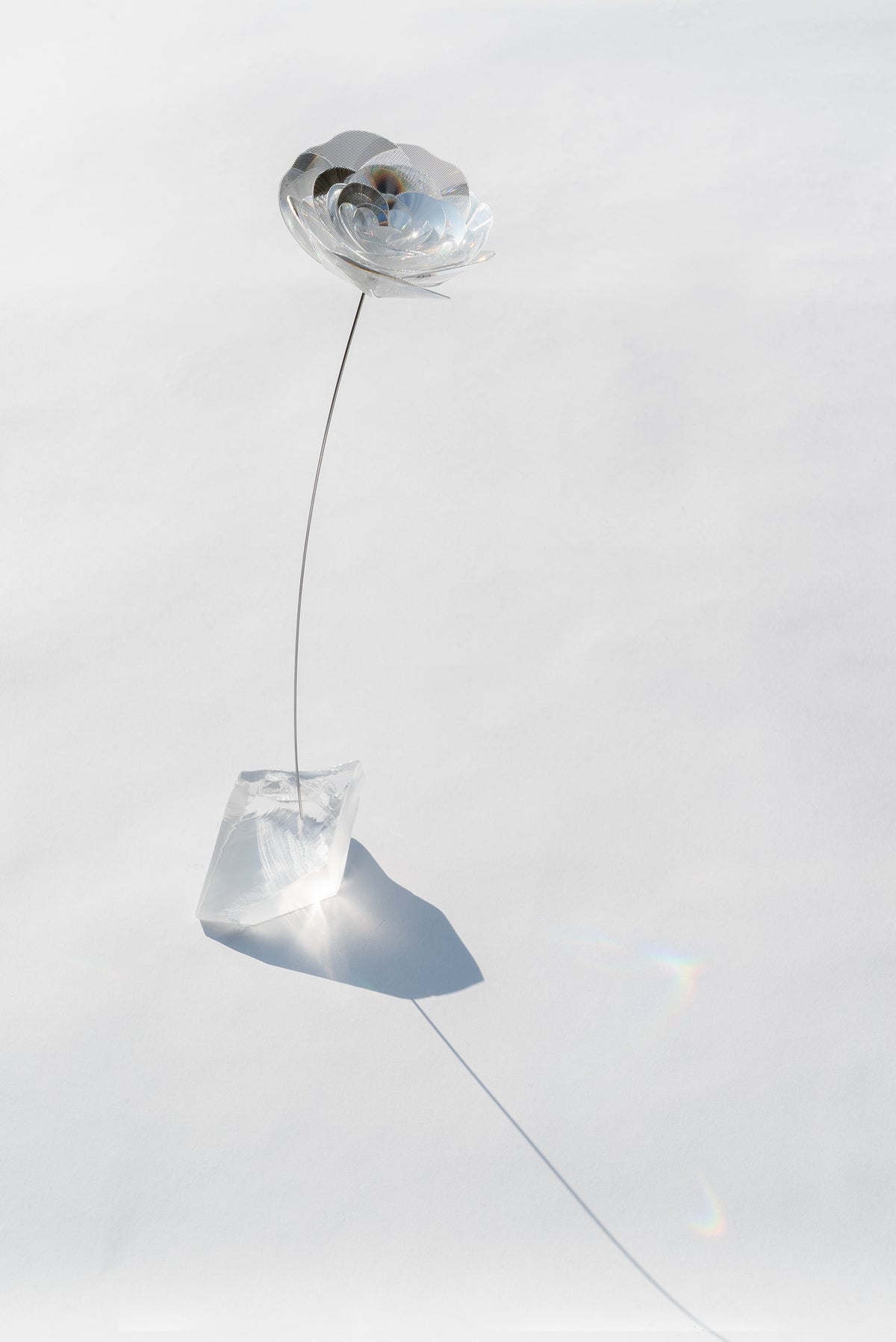 Vase Collection – EMISSION