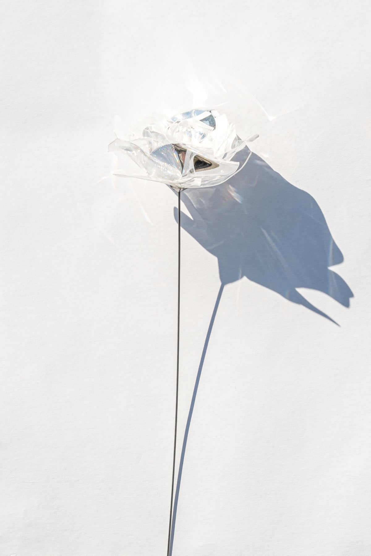 Prism Flower Collection – EMISSION