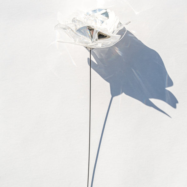 Prism Flower #1 / Rose – EMISSION