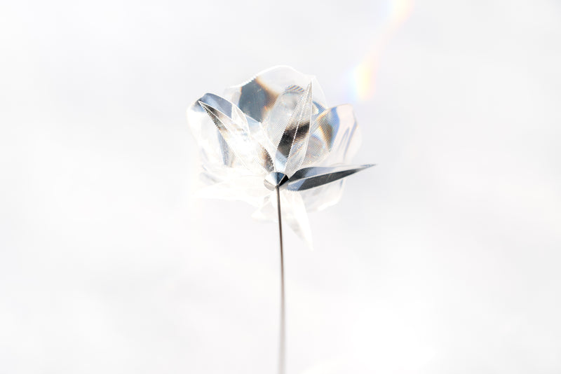 Prism Flower #1 / Rose