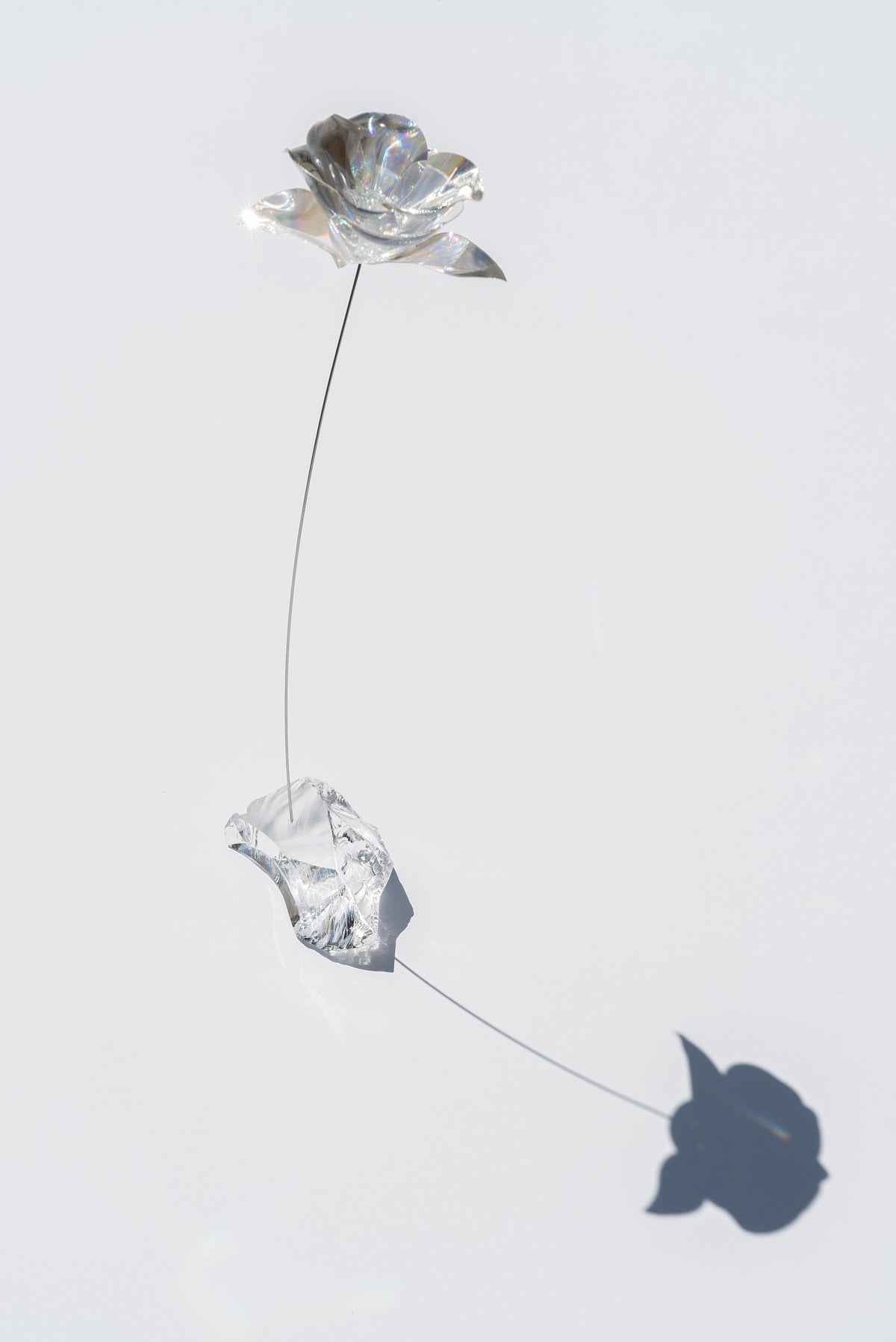 Vase Collection – EMISSION