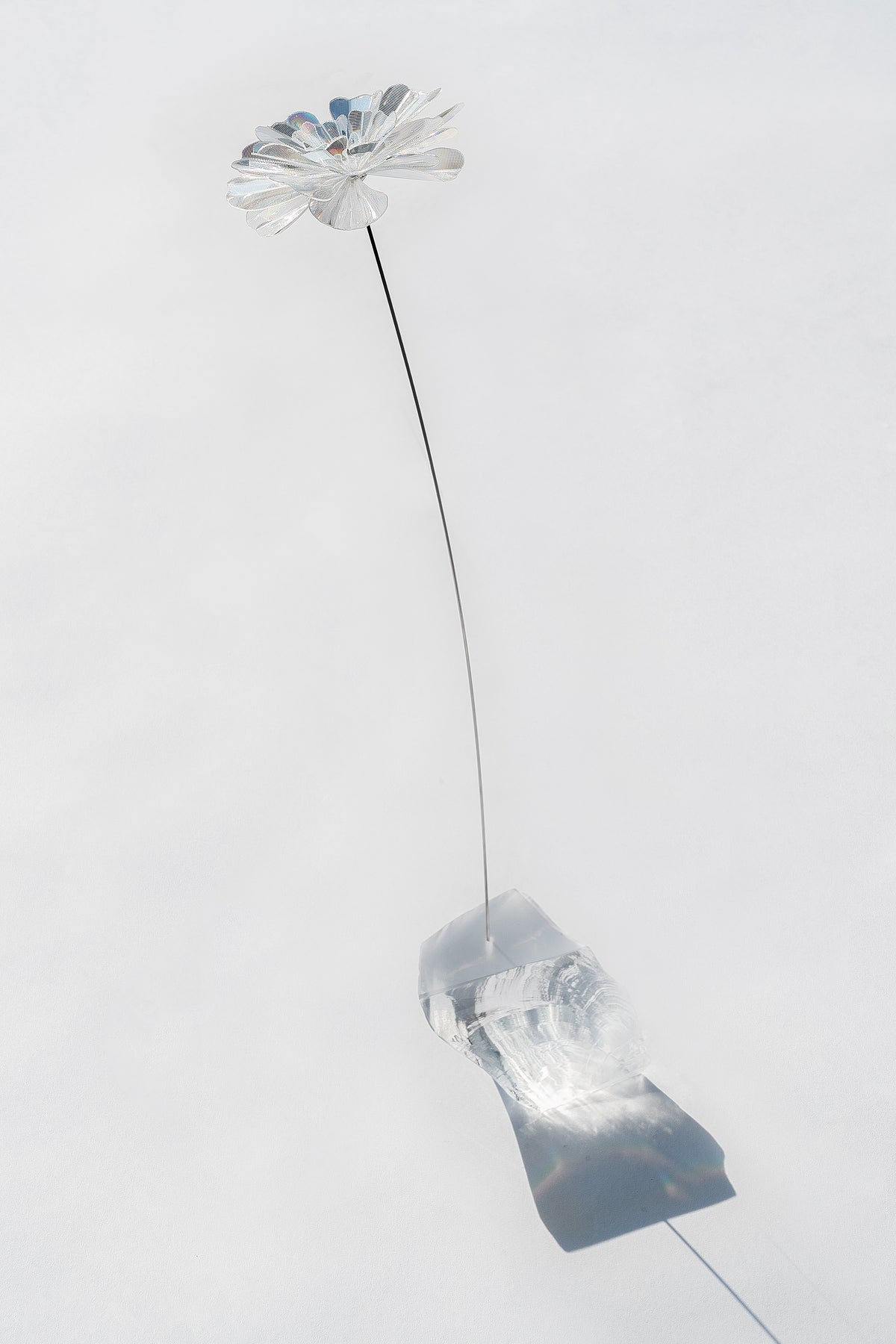 Vase Collection – EMISSION